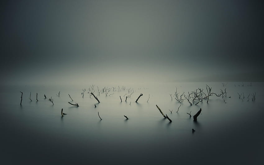 Foggy Lake – Francois Gelinas graphies HD wallpaper