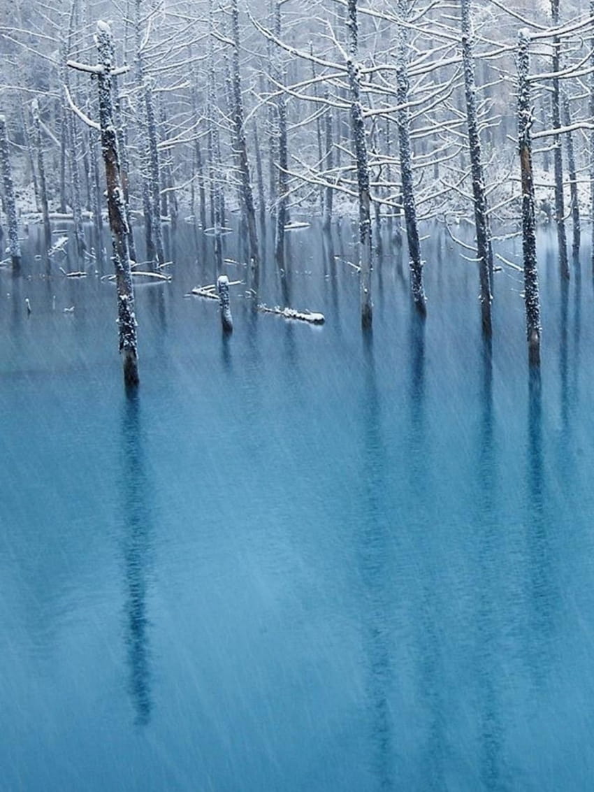 Pure Winter Wither Tree Grove ทะเลสาบน้ำแข็ง ภูมิทัศน์ iPhone 6 [1080x1920] for your , Mobile & Tablet, iphone winter lake วอลล์เปเปอร์โทรศัพท์ HD