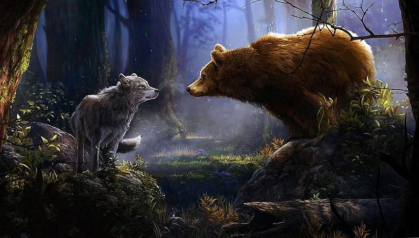 Wolf And Bear, cool bear HD wallpaper
