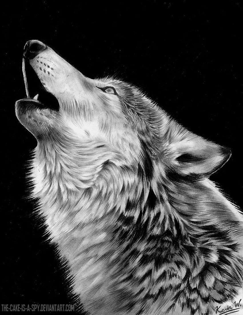 Lobos incríveis Lobo incrível uivando e lobos uivando Papel de parede de celular HD