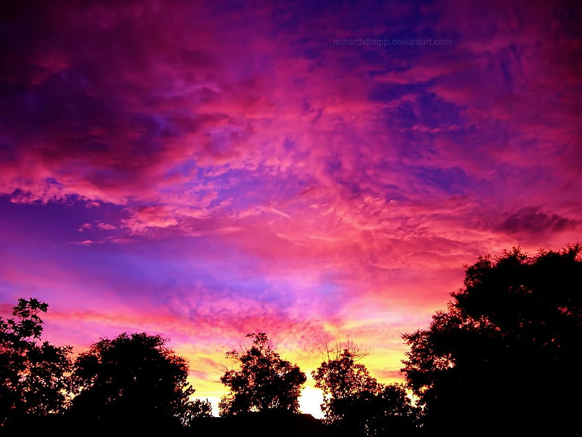 Fiery Pink Sunset 2 by ~richardxthripp on deviantART, pink sunset evening HD wallpaper