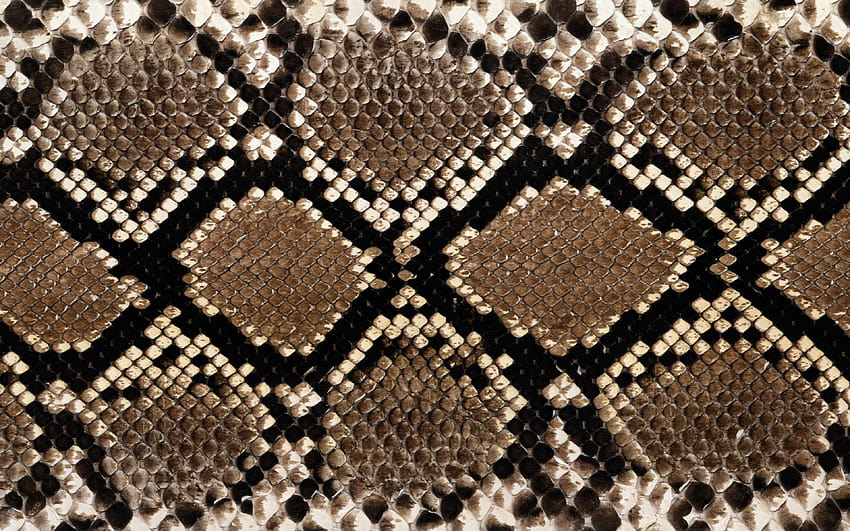 Snake Skin, snakeskin HD wallpaper
