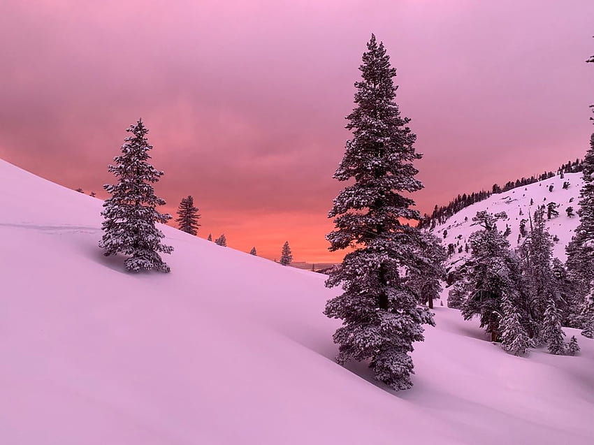 Pear Lake Winter Hut, hiver séquoia Fond d'écran HD