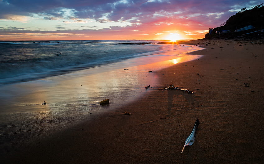 Daily : Beach Sunset, coastal sunset HD wallpaper