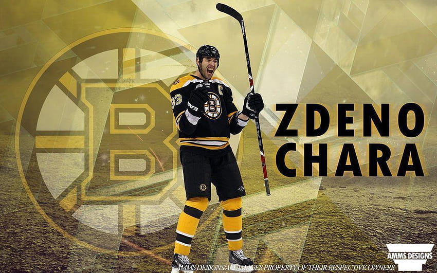 Zdeno Chara Boston Bruins 22.4'' x 34'' NHL Players Poster