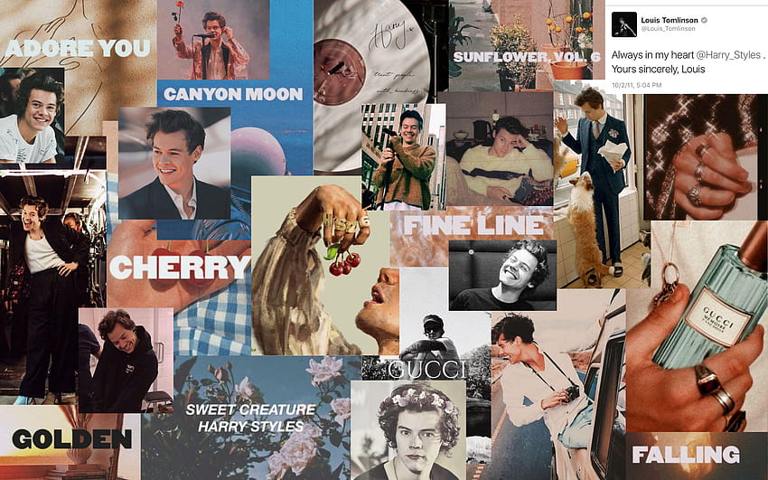 Pin on HARRY STYLES, one direction aesthetic HD wallpaper