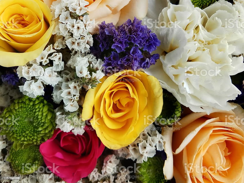 От флорална композиция от смесени цветя Гей Прайд ЛГБТ цветя с жълти и червени рози Бели карамфили Хризантеми Цветни пъпки, изпратени като подарък за Месеца на гордостта HD тапет