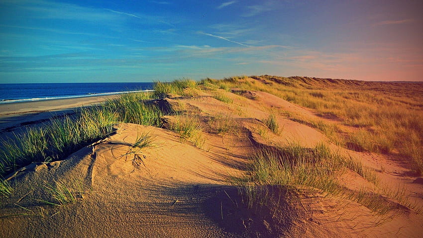 Beach dunes HD wallpaper