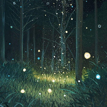 Premium Photo | Anime girl looking at fireflies in a forest at night  generative ai