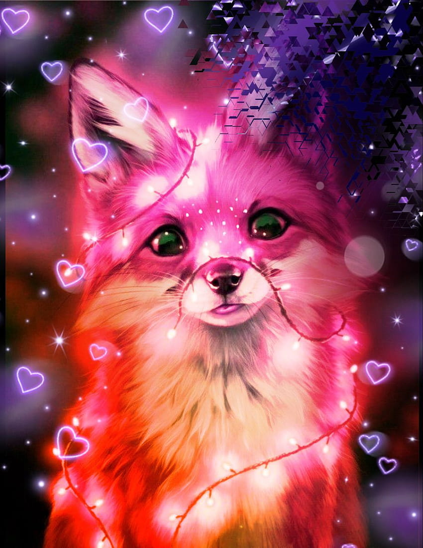 Lis Śliczny, różowy lis Tapeta na telefon HD