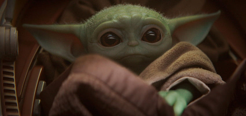 Was Baby Yoda, O.K. Boomer und Hanfanbau erzählten uns von Baby Yoda, ok Boomer HD-Hintergrundbild