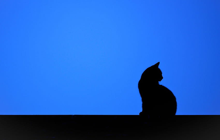 gatto, , minimalismo, silhouette per, gatto nero minimalista Sfondo HD