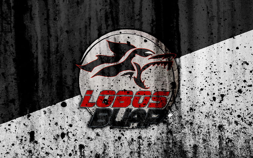 Descargar fondos de pantalla , FC Lobos BUAP, el grunge, la Liga HD wallpaper