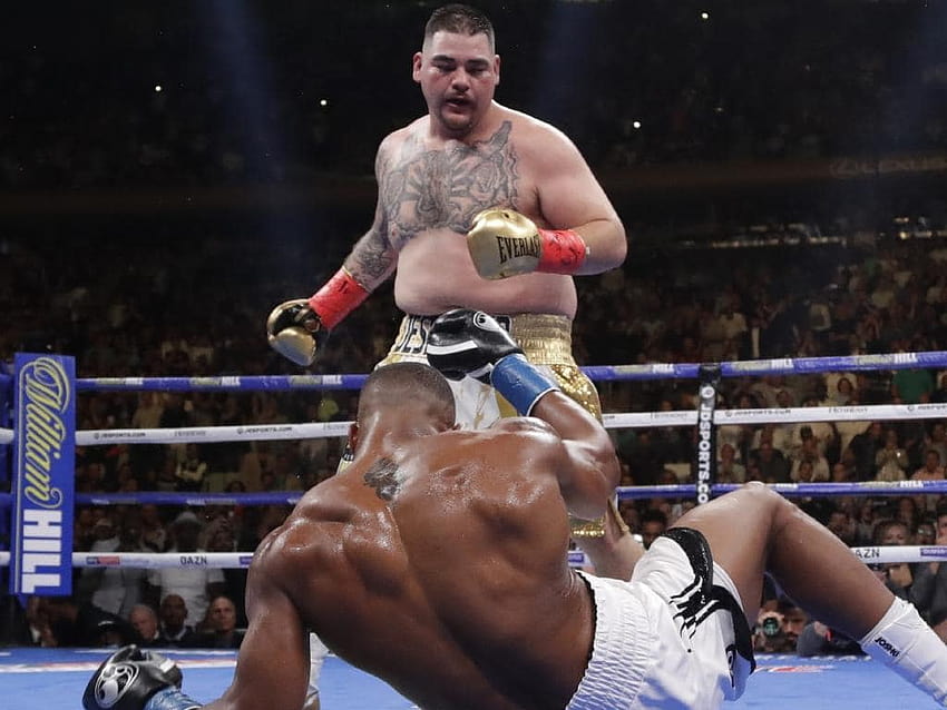 Boxing: Anthony Joshua vs Andy Ruiz rematch, date, updates HD wallpaper