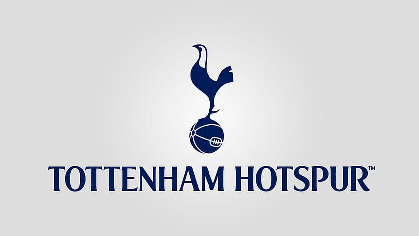 Tła Tottenham Hotspur, Tottenham 2019 Tapeta HD
