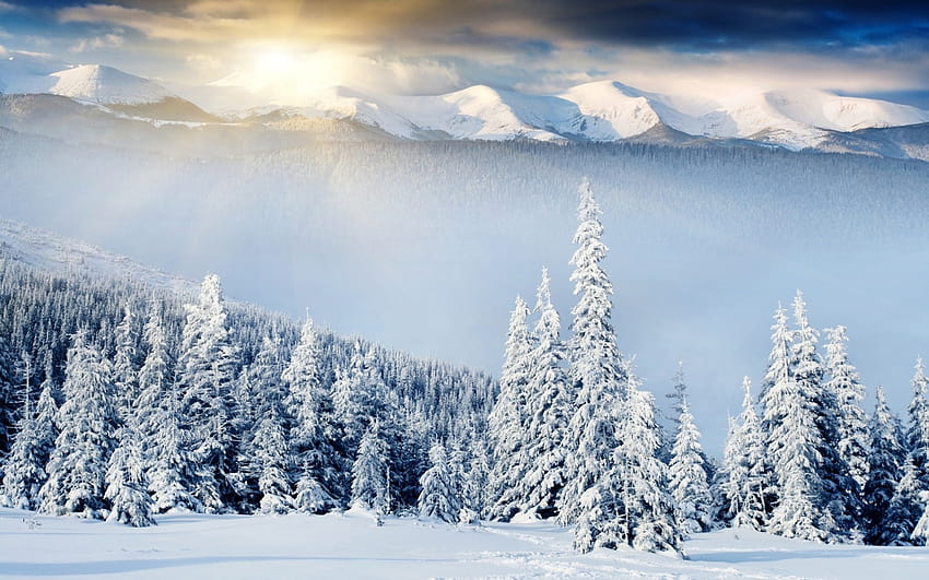 Fantastic Winter Scenery 18723 1920x1200px HD wallpaper