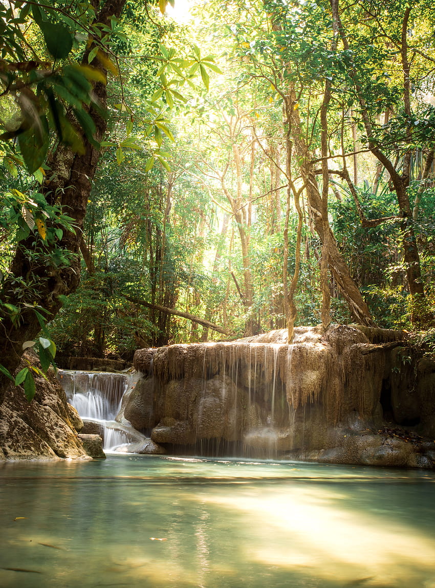 Kleiner Kaskadenwasserfall im exotischen Regenwald · Stock, exotischer Wasserfall und See HD-Handy-Hintergrundbild