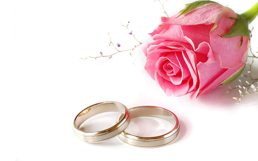 Casamento rosa rosa e anéis PPT Backgrounds para seus modelos de PowerPoint, anéis e rosas papel de parede HD
