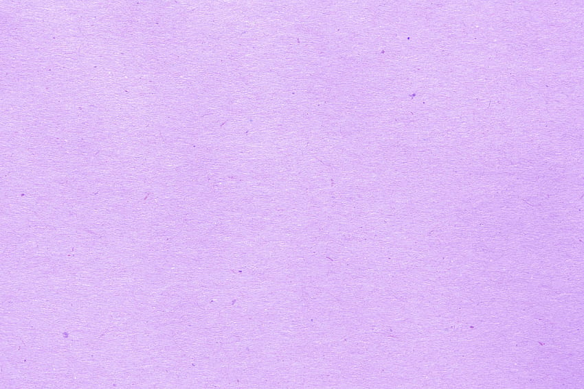 Plain light purple background HD wallpapers | Pxfuel
