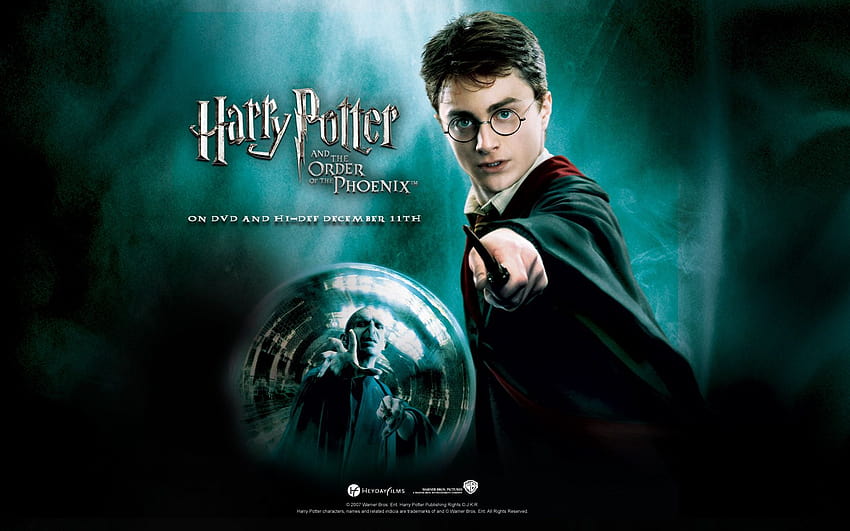 harry potter and the order of the phoenix HD wallpaper