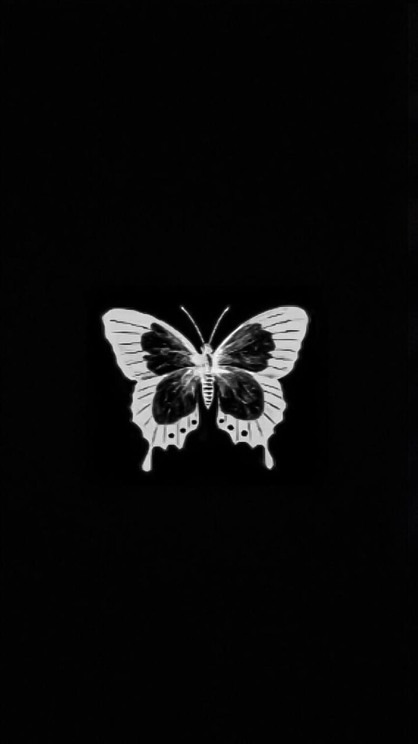 Loona teaser, butterfly tumblr HD phone wallpaper | Pxfuel