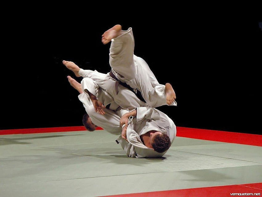 Gracie Jiu Jitsu, jujutsu HD wallpaper