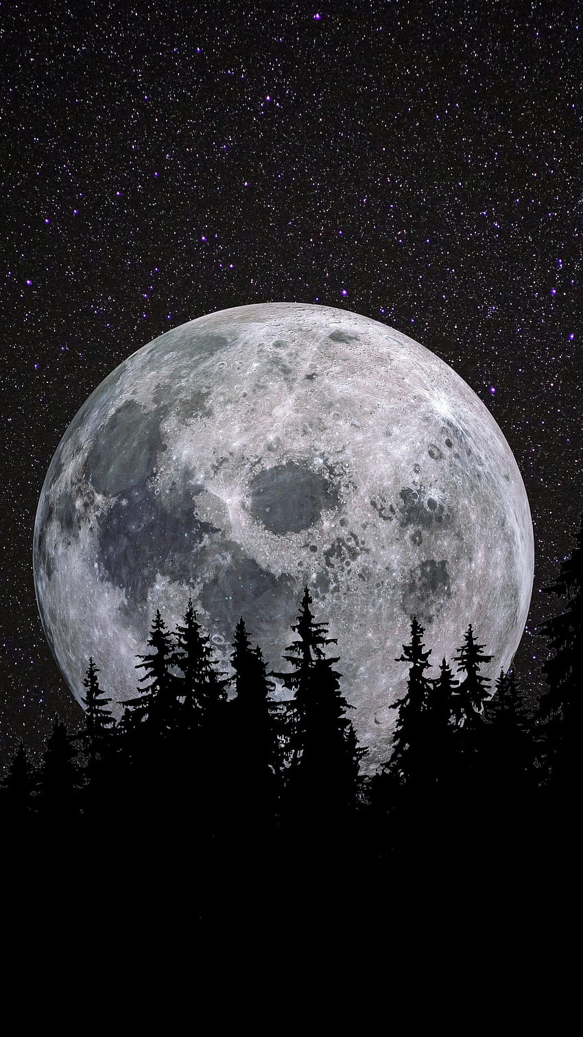 보름달, 숲, 밤, 어둠, 별이 빛나는 하늘, , 자연 HD 전화 배경 화면