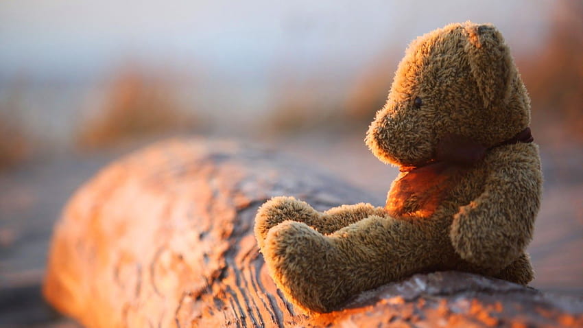 How To Be Miserable In 7 Easy Steps, sad teddy HD wallpaper