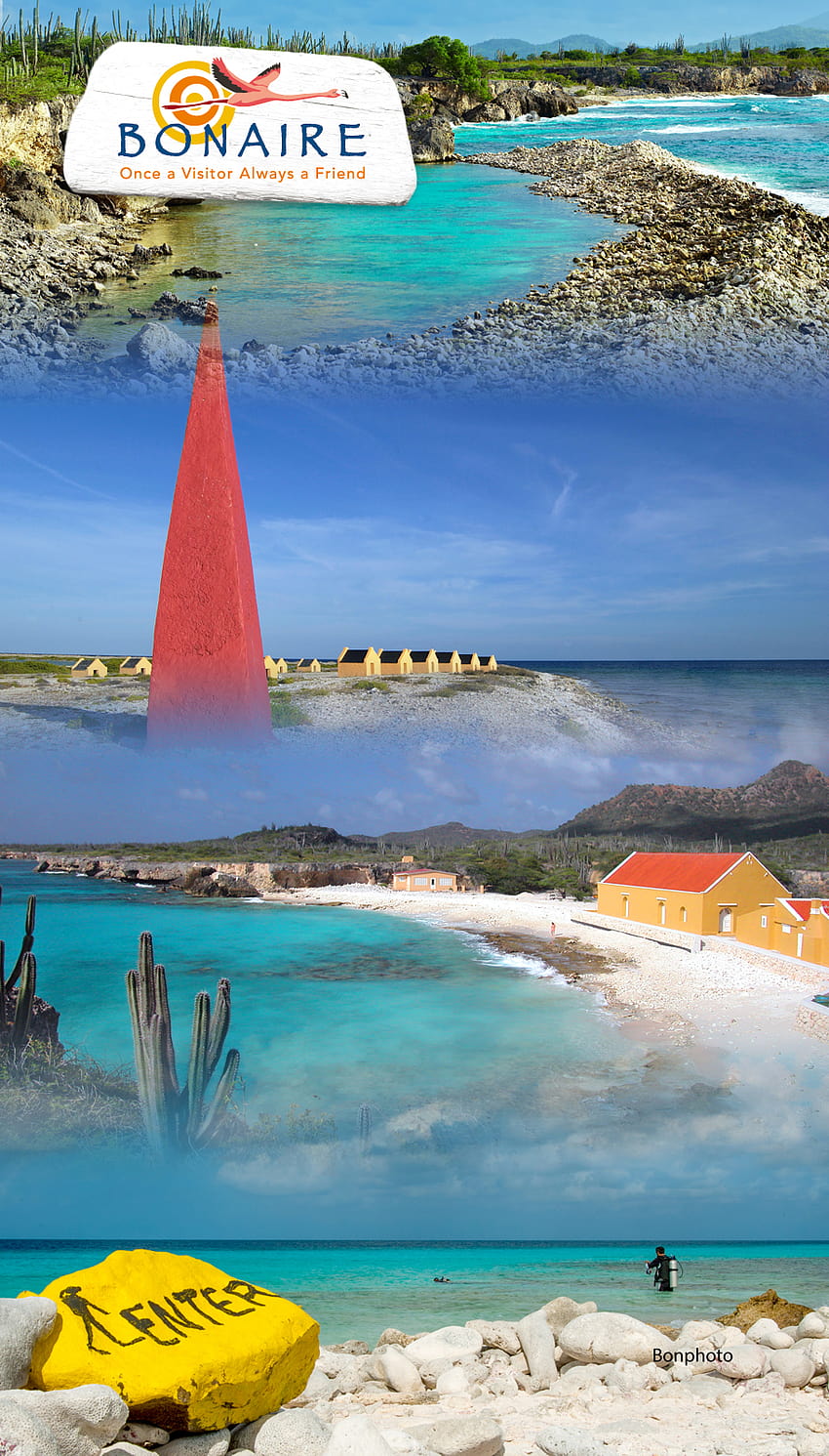 Sitio oficial de turismo de Bonaire fondo de pantalla del teléfono