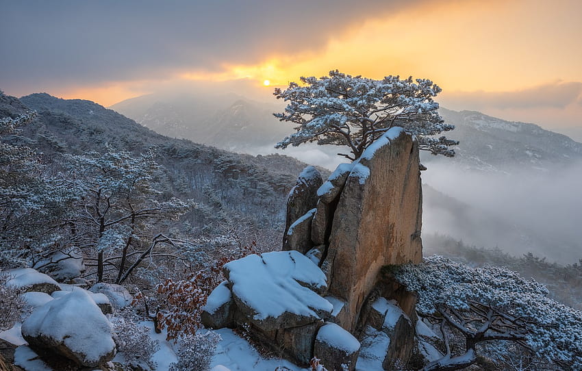 ฤดูหนาว เมฆ หิมะ ภูมิทัศน์ ภูเขา ธรรมชาติ หมอก ต้นไม้ หิน รุ่งอรุณ เช้า ป่า ต้นสน เกาหลีใต้ สำรอง Pukhansan ส่วน пейзажи หิมะตกในฤดูหนาวของเกาหลีใต้ วอลล์เปเปอร์ HD