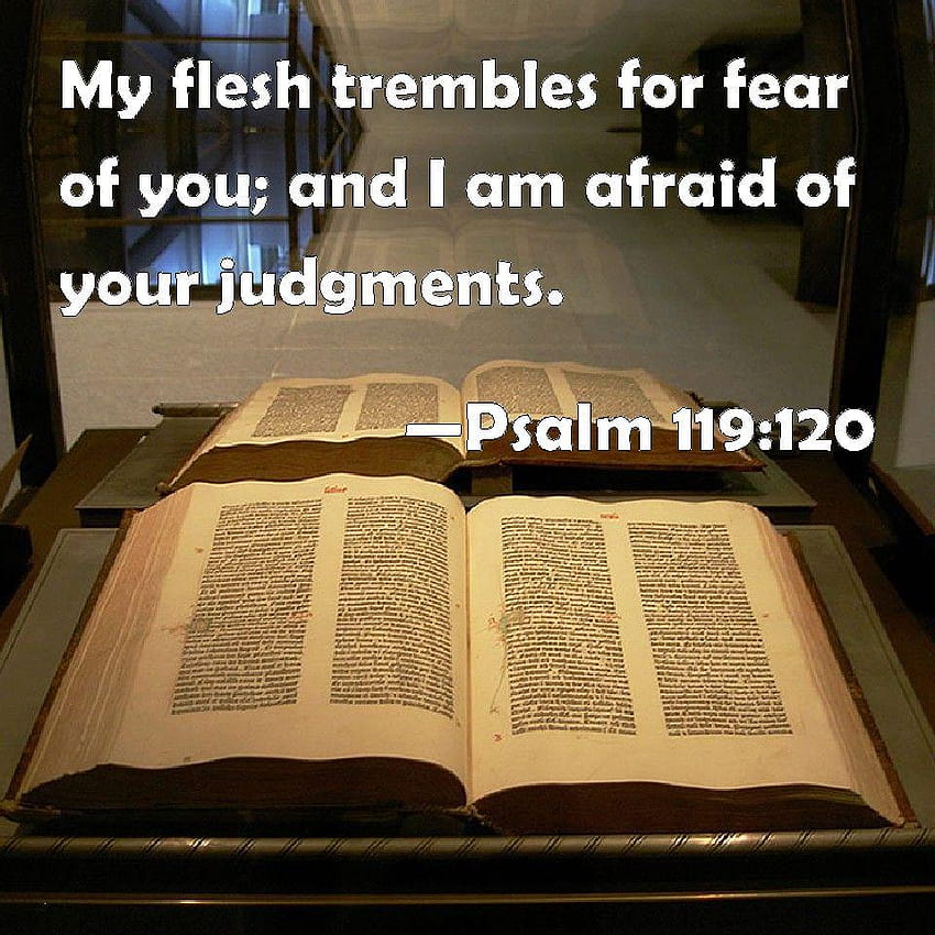 psalm-119-120-my-flesh-trembles-for-fear-of-you-and-i-am-afraid-psalm