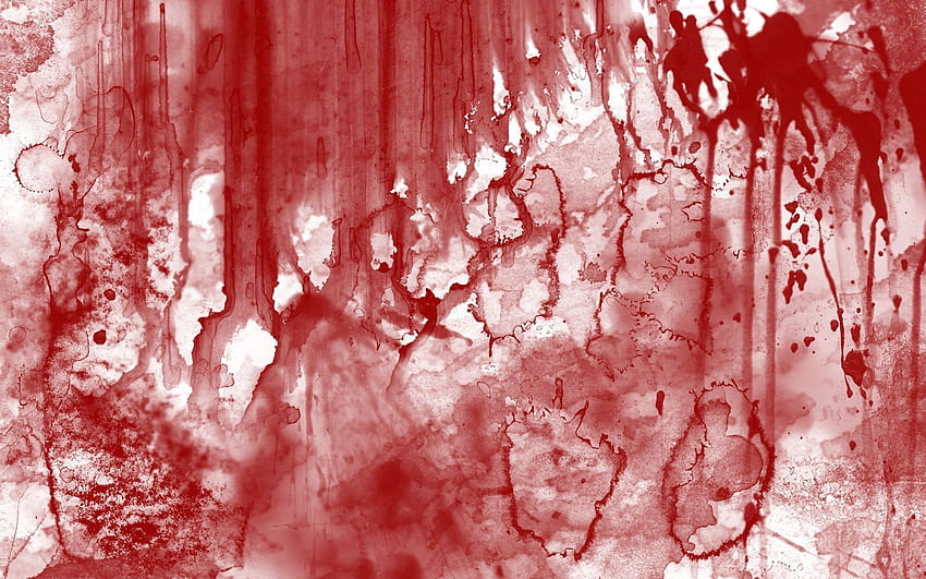 100% Q Blood HD wallpaper