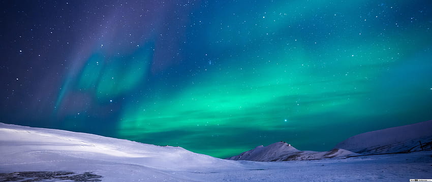 Musim Dingin Aurora Borealis, lampu kutub natal Wallpaper HD