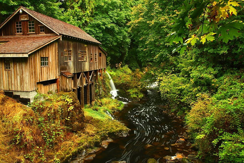 Forest, Landscape,nature, Amazing, Mobile, House, Peace Autumn, River, View, Beauty, river view HD wallpaper