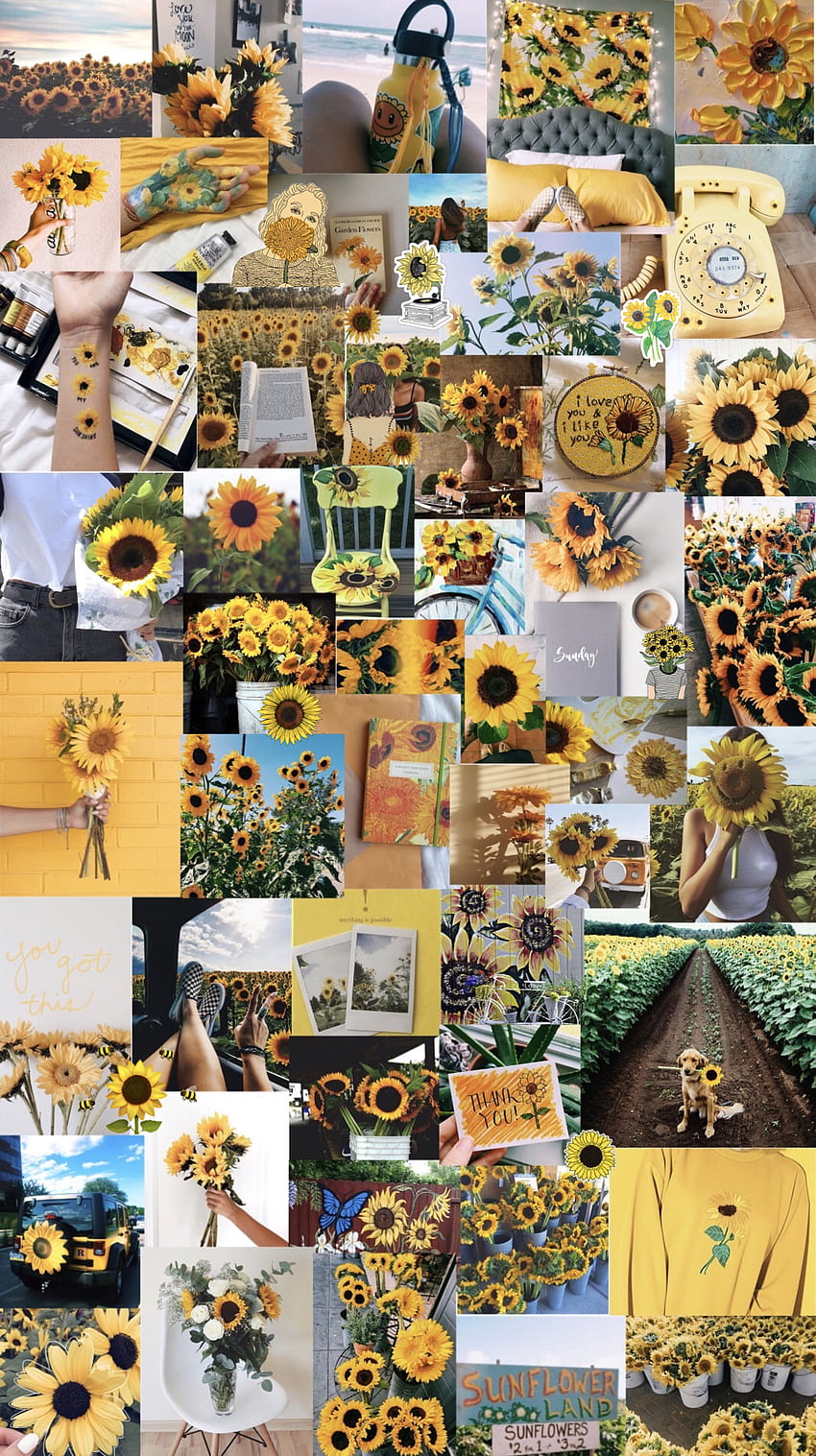 Sunflowers, sunflower aesthetic collage HD phone wallpaper | Pxfuel