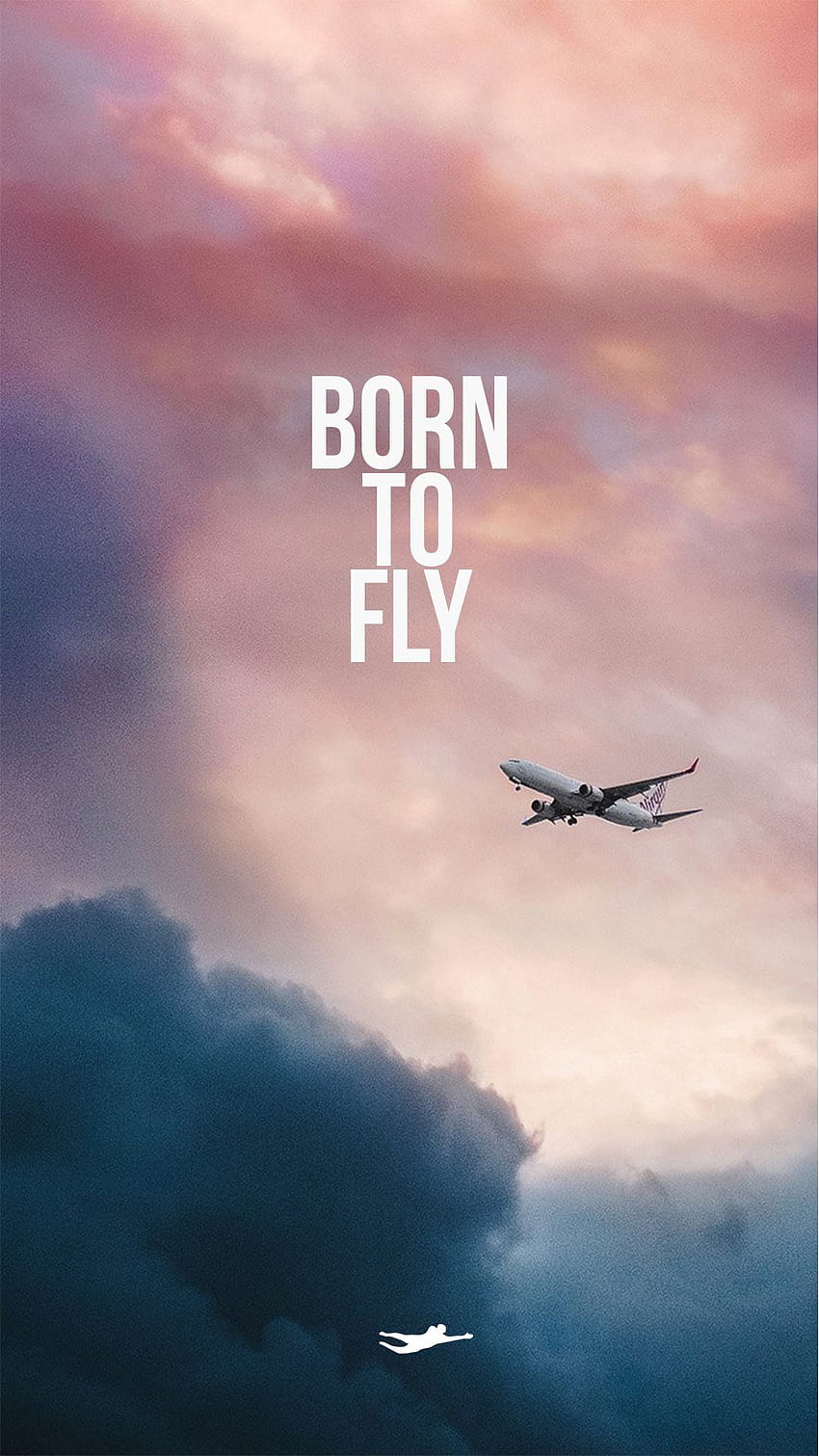 Nascido para voar. Estilo de vida de goleiro, avião fofo Papel de parede de celular HD