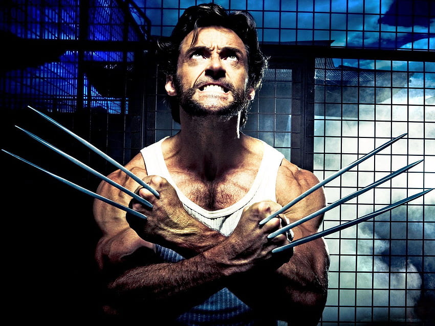 Wolverine's Adamantium Claws: Could They Work In Real Life?, wolverine adamantium claws HD wallpaper