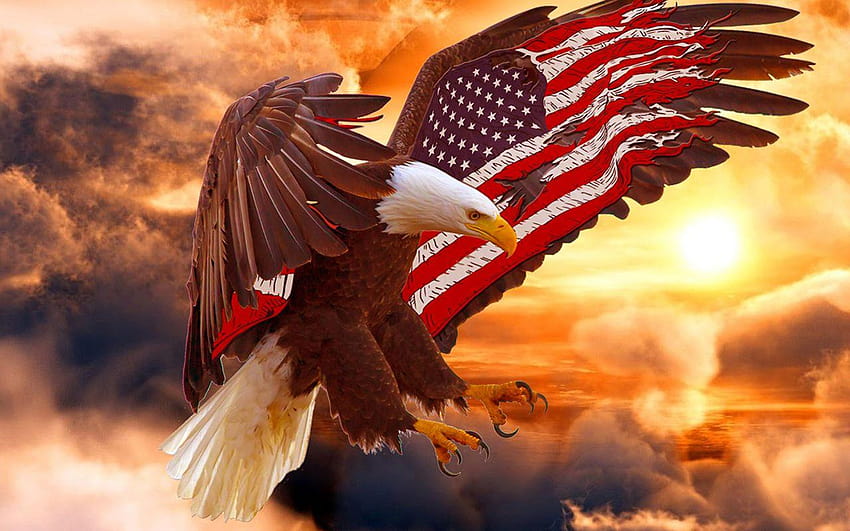 Badass Eagle – Najlepszy, orzeł amerykański Tapeta HD