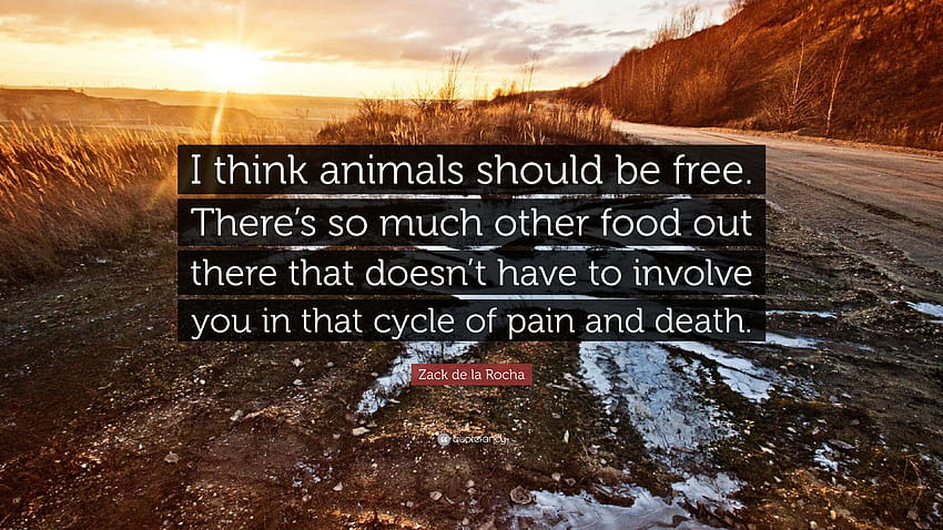 Zack de la Rocha Quote: “I think animals should be . There's so, zack with quote HD wallpaper
