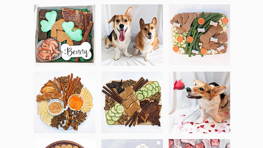 Das Unternehmen aus Chicago bietet landesweit personalisierte Wurstbretter für Hunde an HD-Hintergrundbild