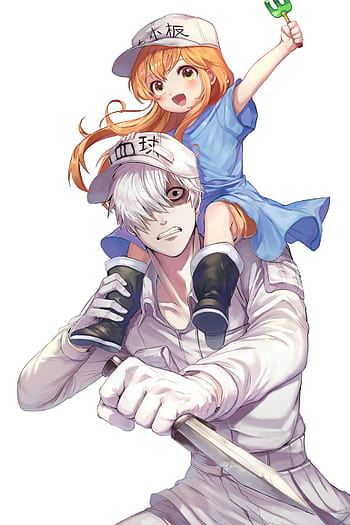 Pin on Hataraku Saibou