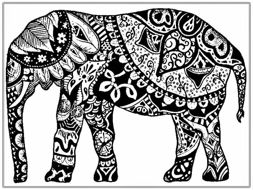 Elefante Zentangle Coloring Page su GetDrawings, elefanti zentangle Sfondo HD