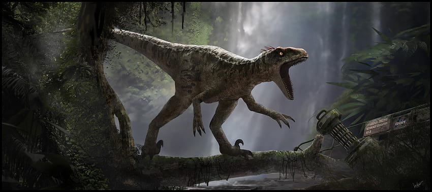 4 Jurassic World Velociraptor, Dinosaurier-Raubvogel HD-Hintergrundbild