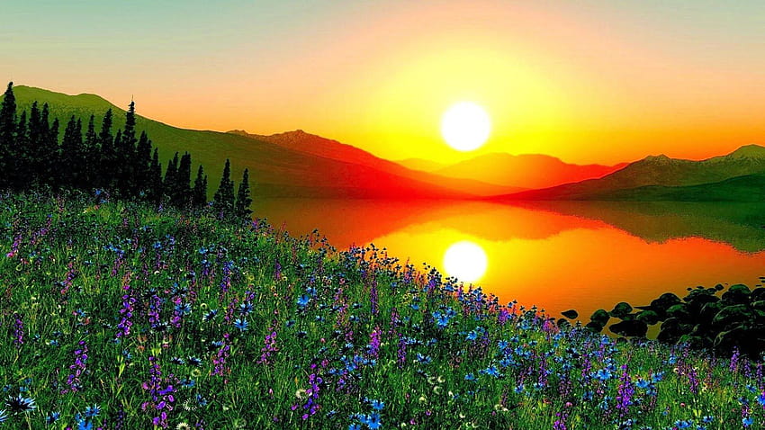Beautiful Sunrise, rising sun HD wallpaper