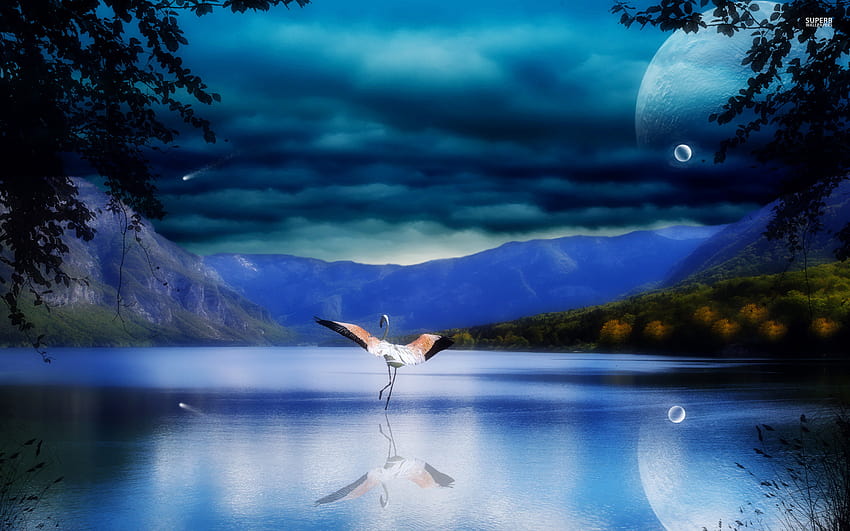 Flamenco en el lago iluminado por la luna, cielo, noche, pájaro, digital, arte nocturno digital fondo de pantalla