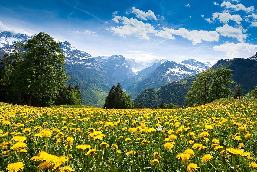 Lago na natureza da paisagem dos Alpes, alpes suíços papel de parede HD