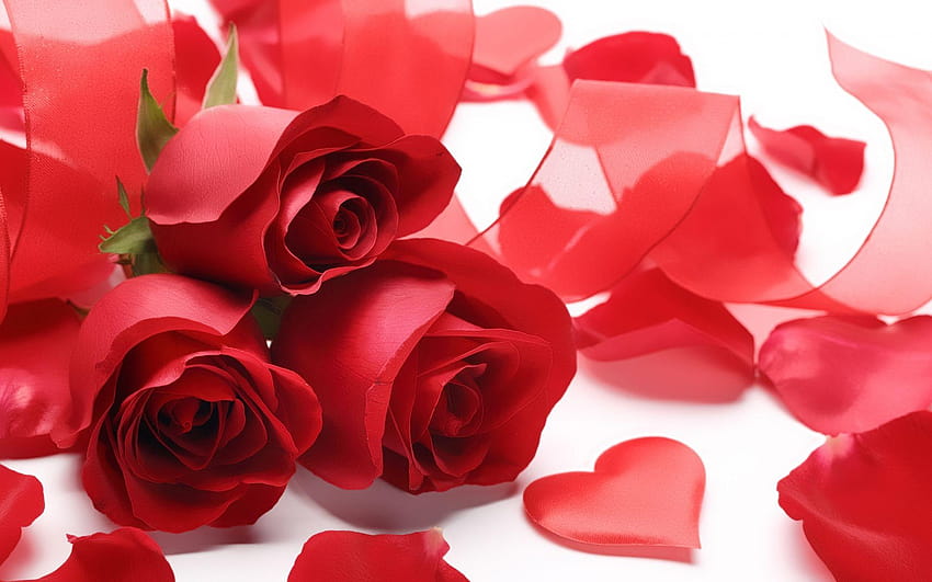 Romantic Rose Love Theme APK for Android Download
