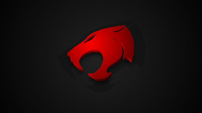 Thunder Cats Logo, Logo, Backgrounds, and HD wallpaper