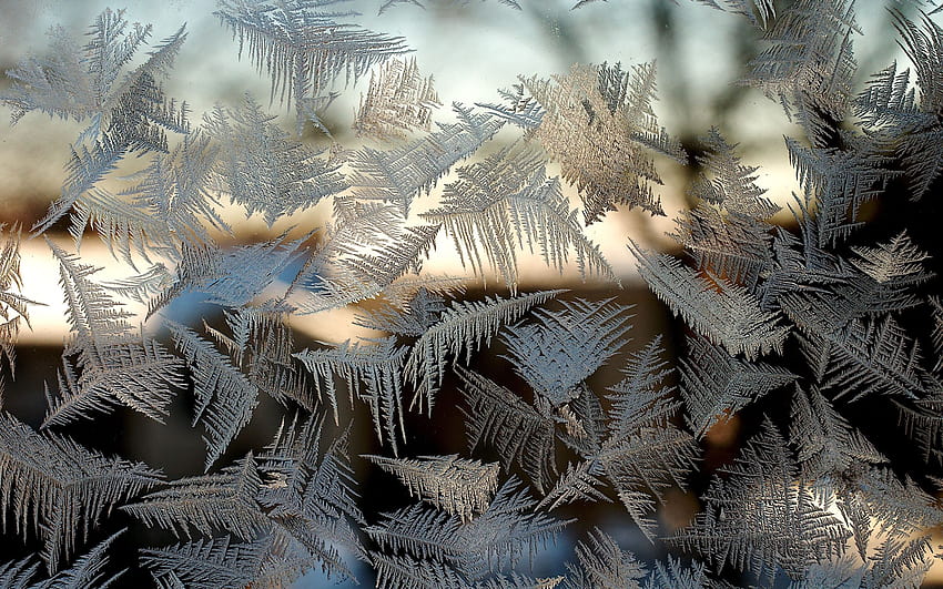 Frost on the glass patterns window ... up, winter glass HD wallpaper