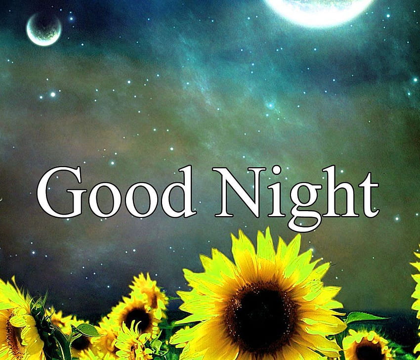 Free download good night hd wallpaper 1600x1000 for your Desktop Mobile   Tablet  Explore 48 Night HD Wallpapers  Night Sky Wallpaper HD Starry Night  Wallpaper HD City Night Wallpaper HD
